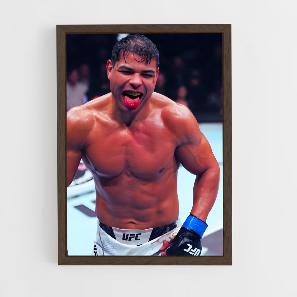 Poster Boxe Fantasque – affiche MMA (vue 5)
